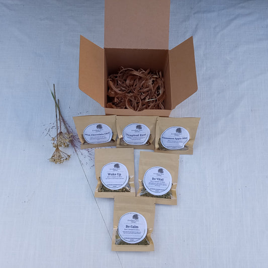 Organic Herbal Tea Sampler Set of 6 Artisan Blends for Natural Health & Well Being - Consumable Zero-Waste Gift Under 30 for Tea Lovers