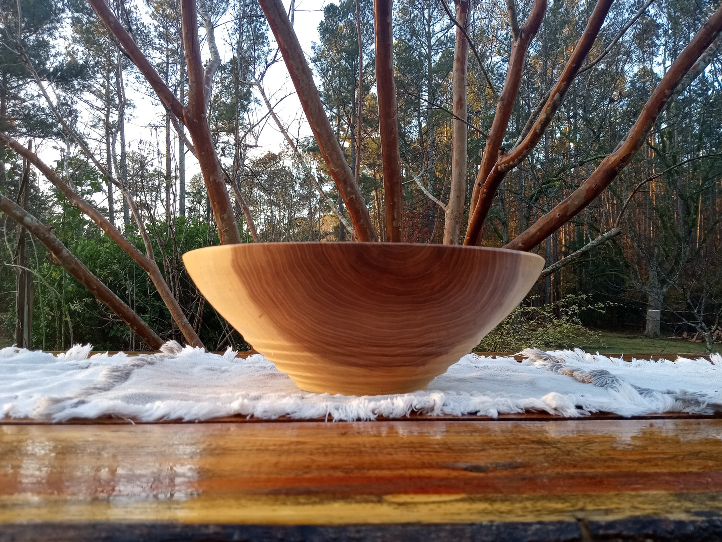 12" Elm Wood Decor Bowl - Handmade Figured Wooden Bowl - Decorative Wood Bowl Centerpiece - Wood Anniversary Gift for Him